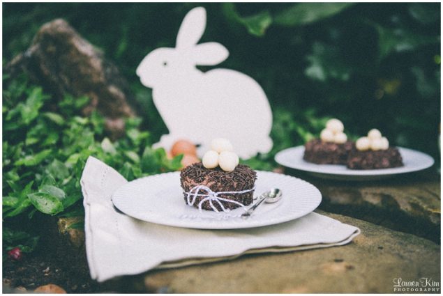 Easter Chocolate cake Nests