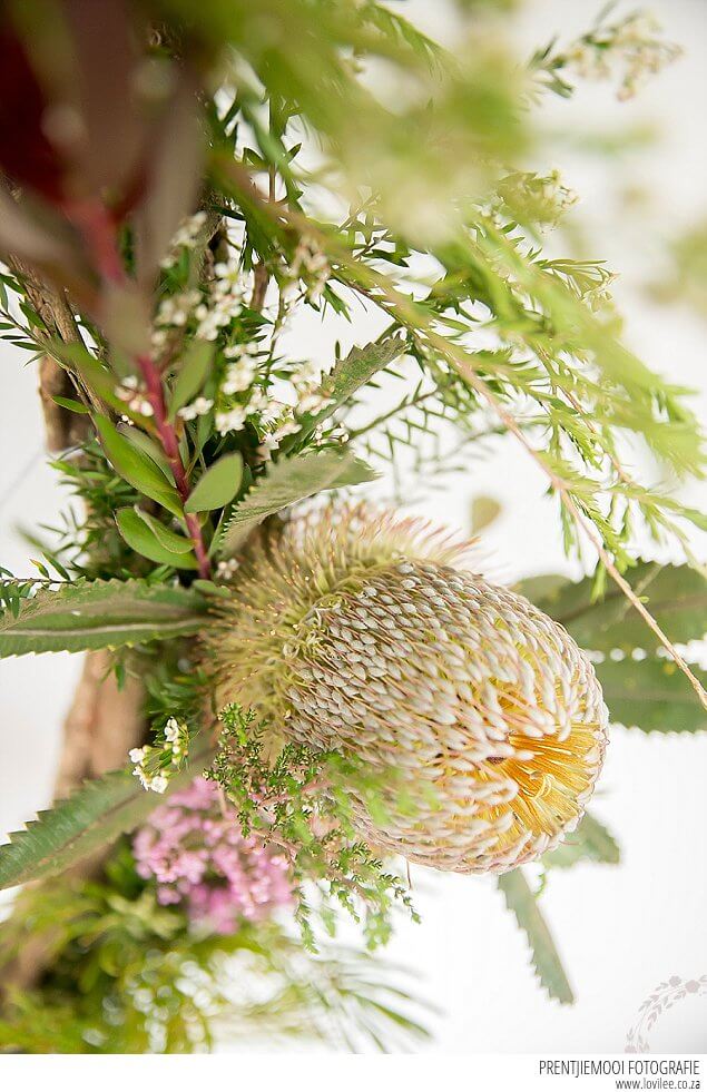 Locally foraged wreath DIY