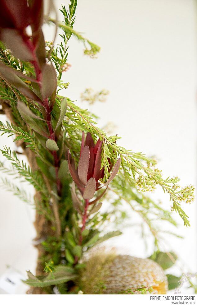 Locally foraged wreath DIY