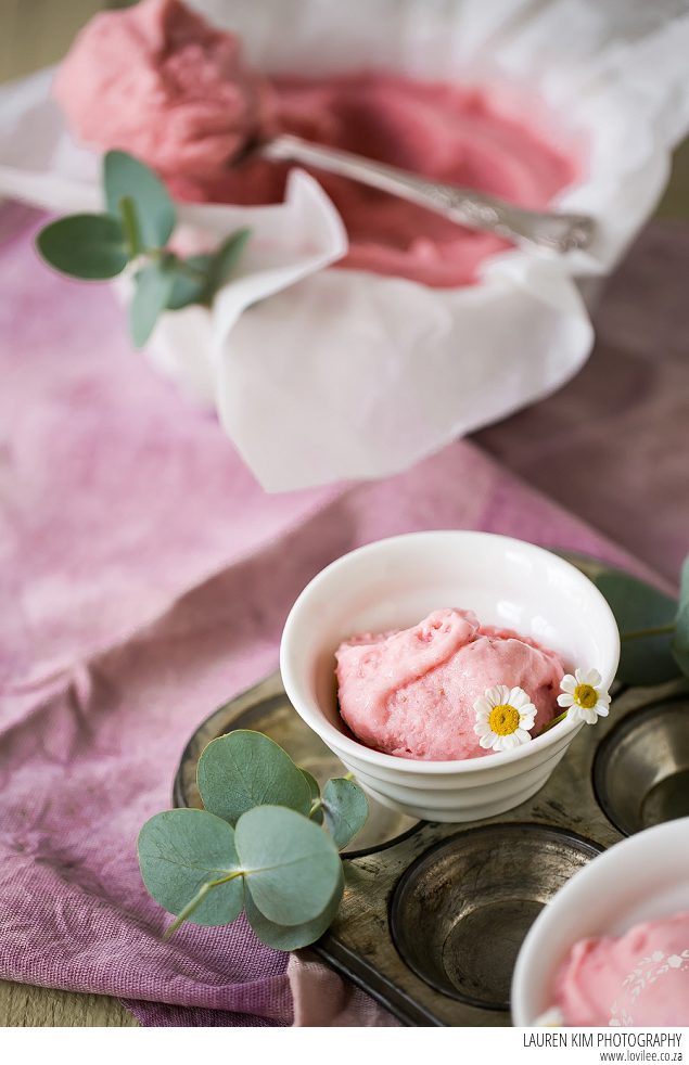 Strawberry low carb frozen yogurt recipe