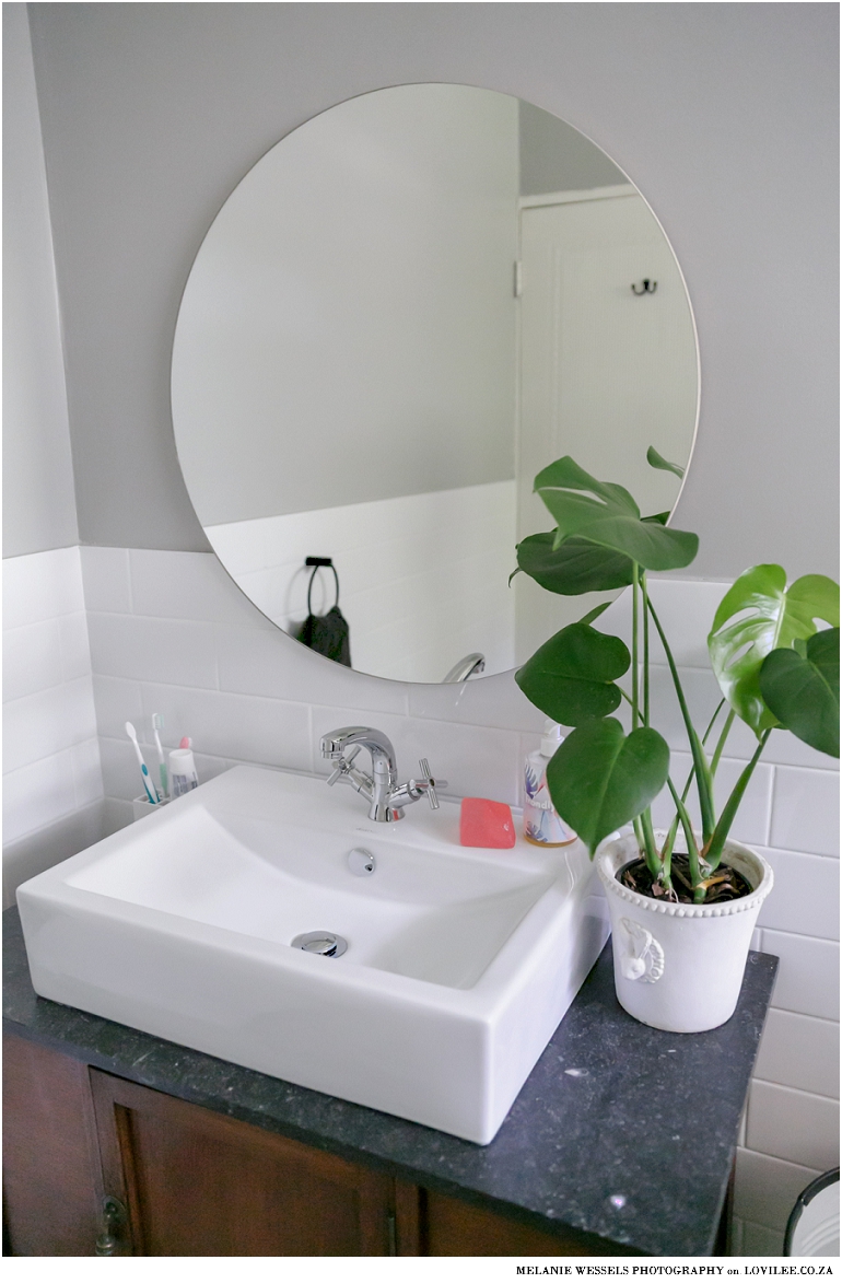 Mirror by Native Decor Monstera plant in a bunny pot used in a bathroom