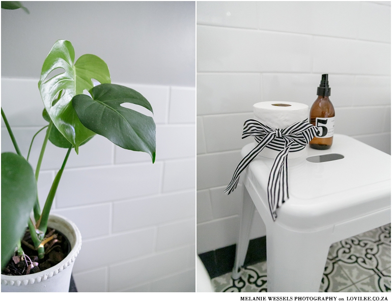 Monstera plant in a bunny pot used in a bathroom