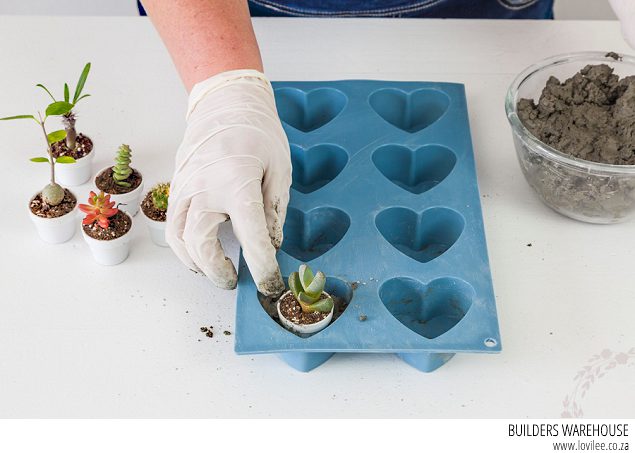 Mini cement heart planter DIY