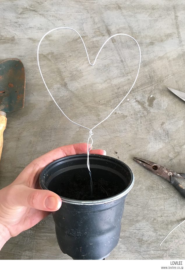 DIY heart plant tutorial