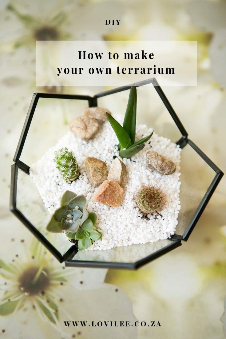 DIY terrarium instructions by Lauren Kim Photography