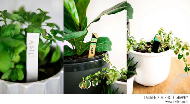 DIY Plant markers