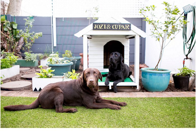 DIY dog kennel