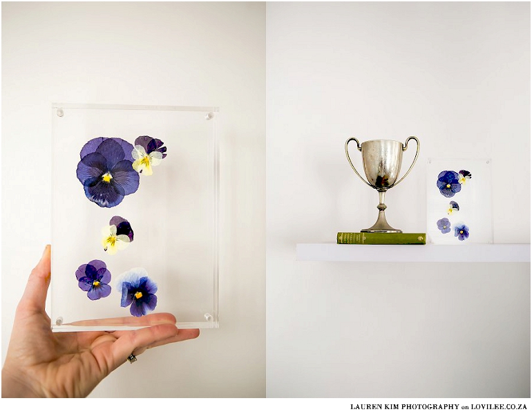 Pressed flowers in Perspex frame