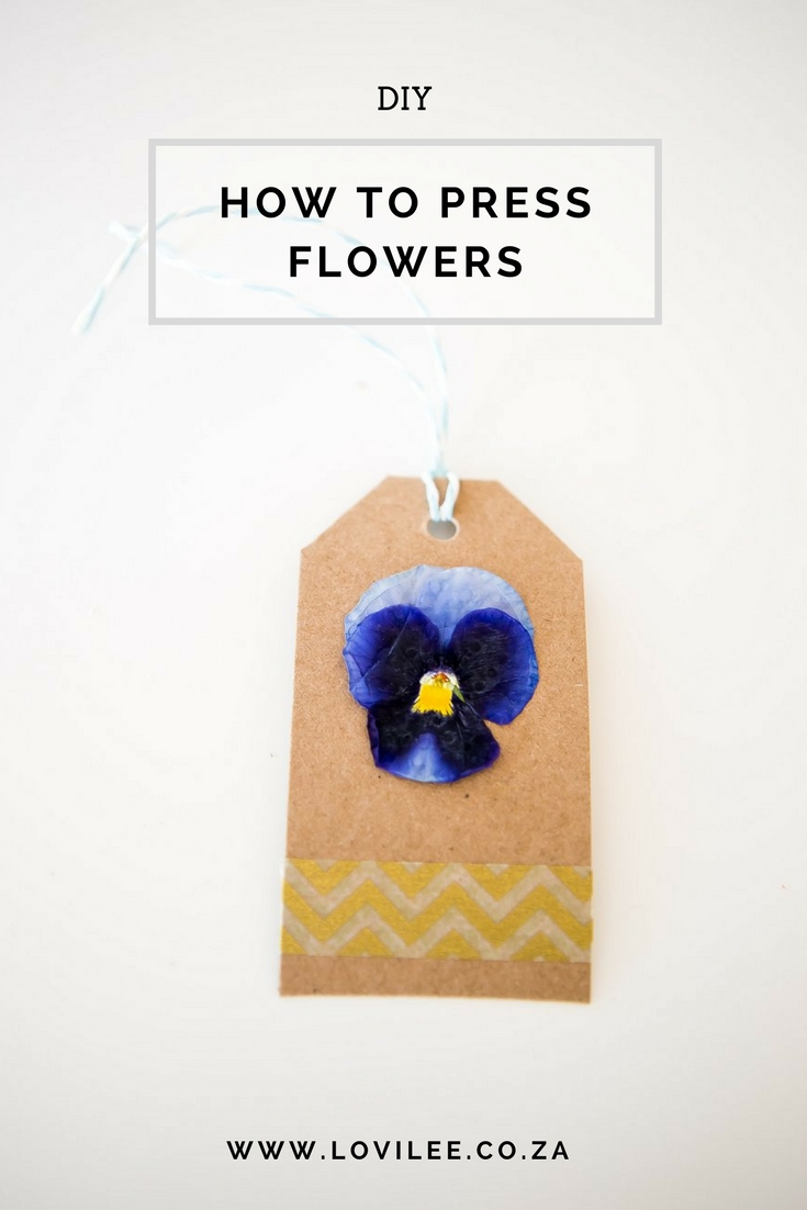 How to press flowers