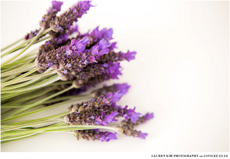 Fresh lavender captured by Lauren Kim Photography