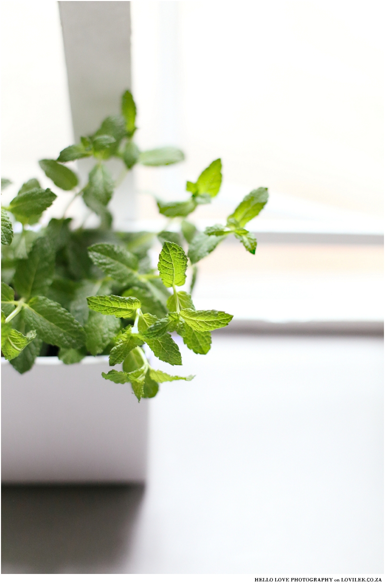 Kitchen herbs photographed by Hello Love Photography