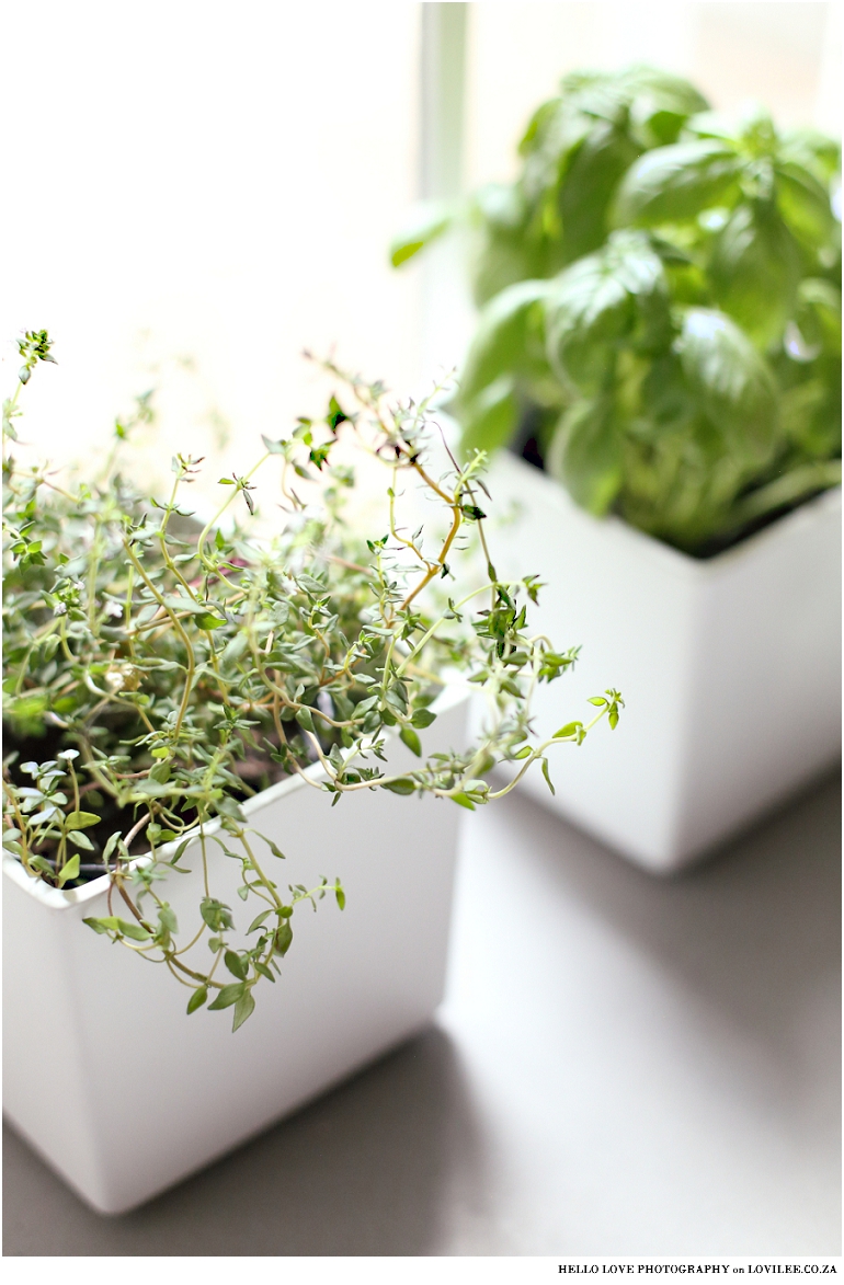 Kitchen herbs photographed by Hello Love Photography