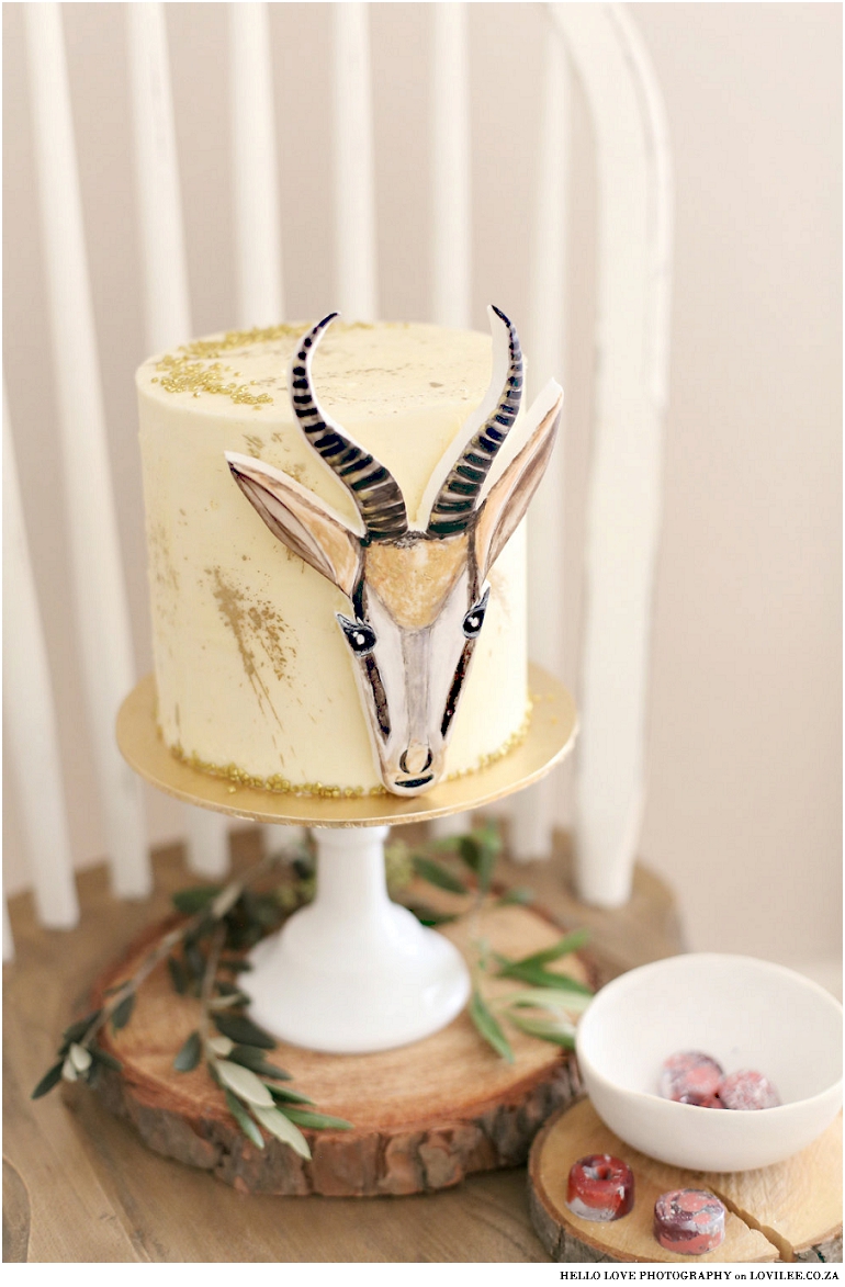 Springbok Christmas Cake