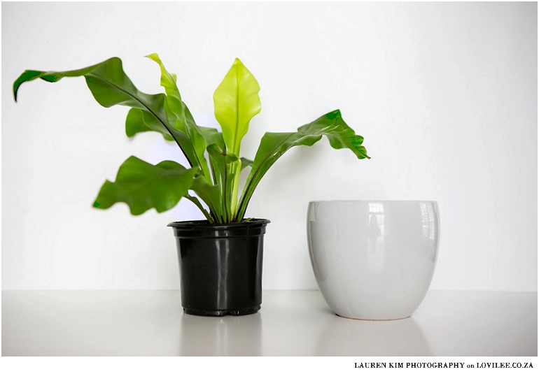 DIY flower pot with letter vinyl