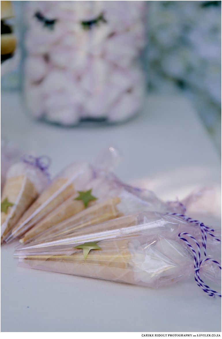 Unicorn Party favours