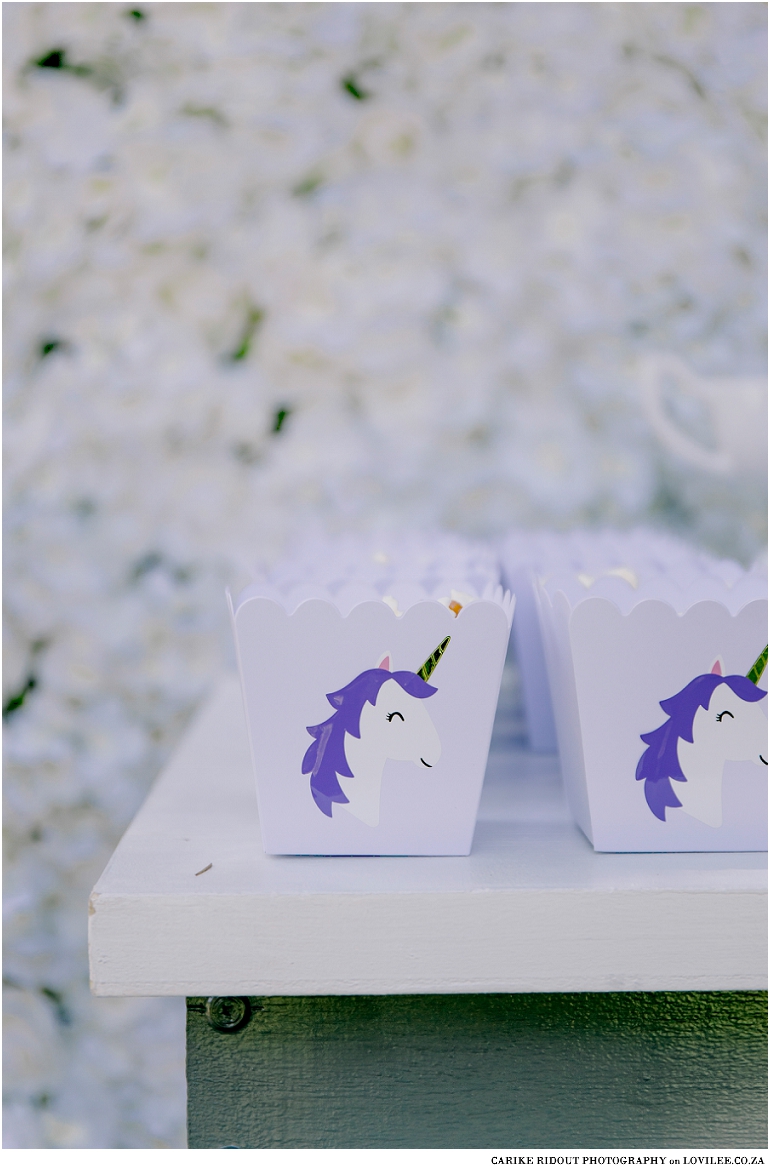 Unicorn party ideas