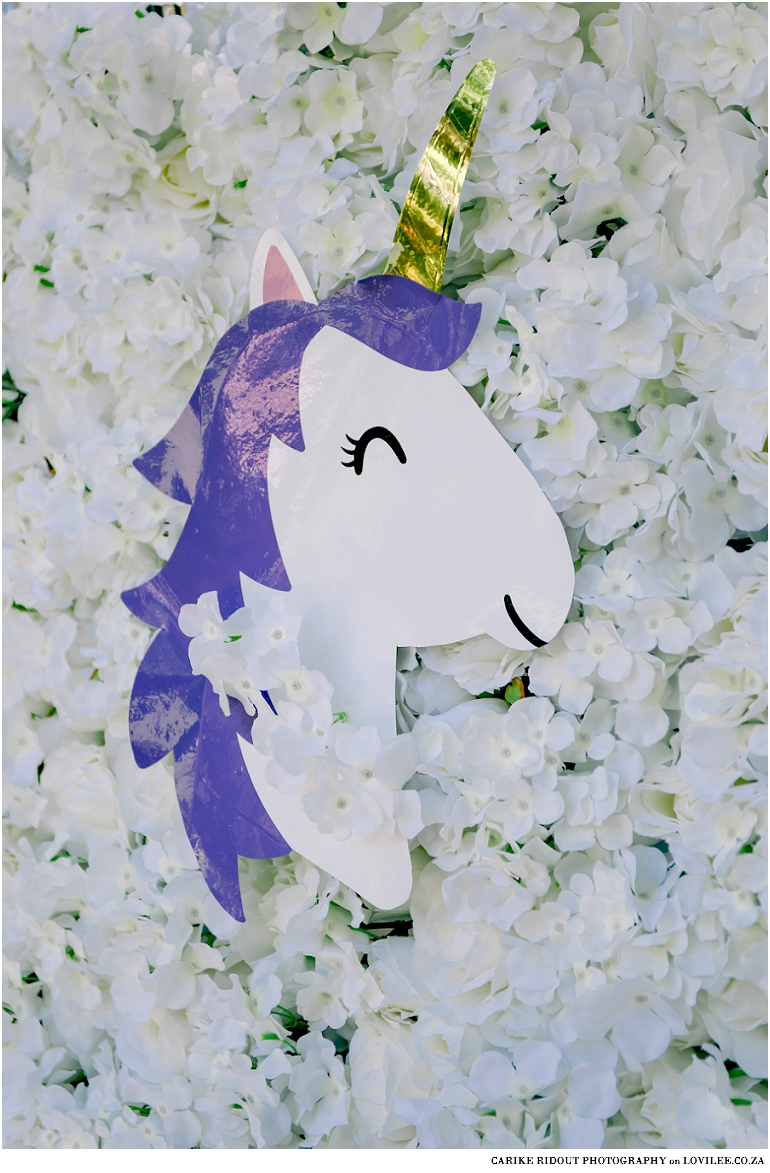 Unicorn Party decor