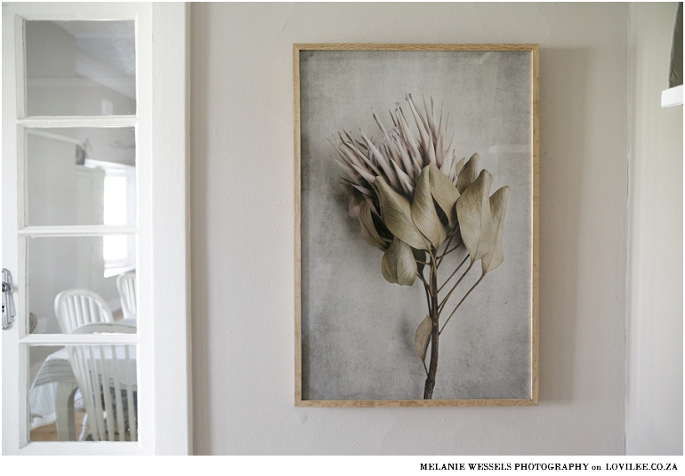 Natascha van Niekerk Protea wall art