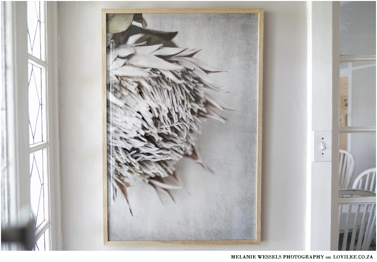 Natascha van Niekerk Protea wall art