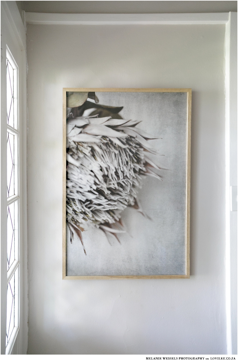 Natascha van Niekerk Protea wall art