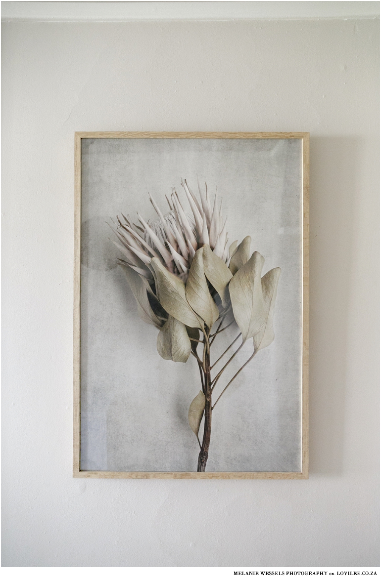 Natascha van Niekerk Protea wall art