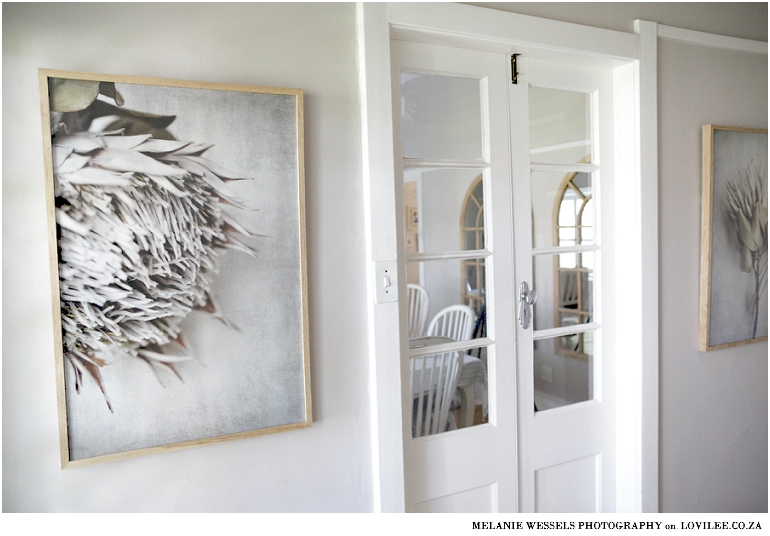 Natascha van Niekerk Protea wall art