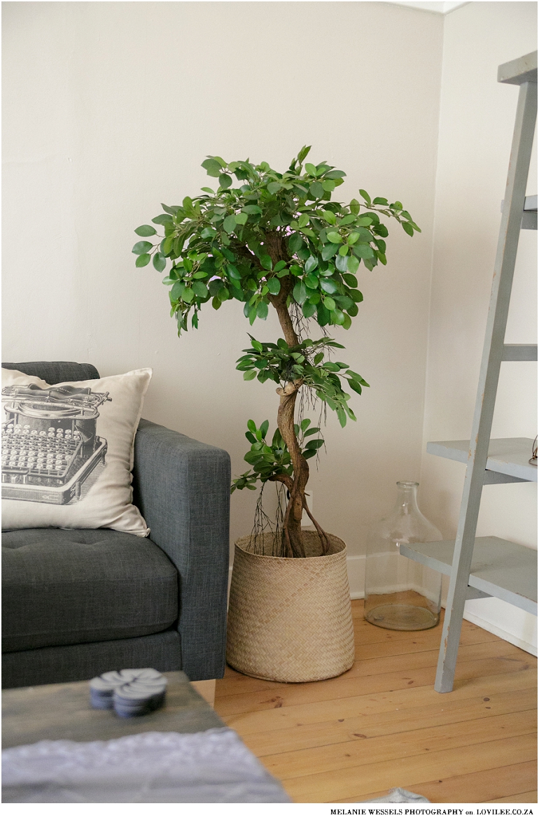 Distinctive Spaces artificial tree in basket