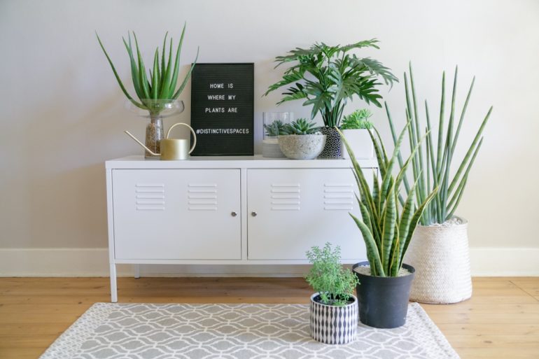 Distinctive spaces styled plants-002b