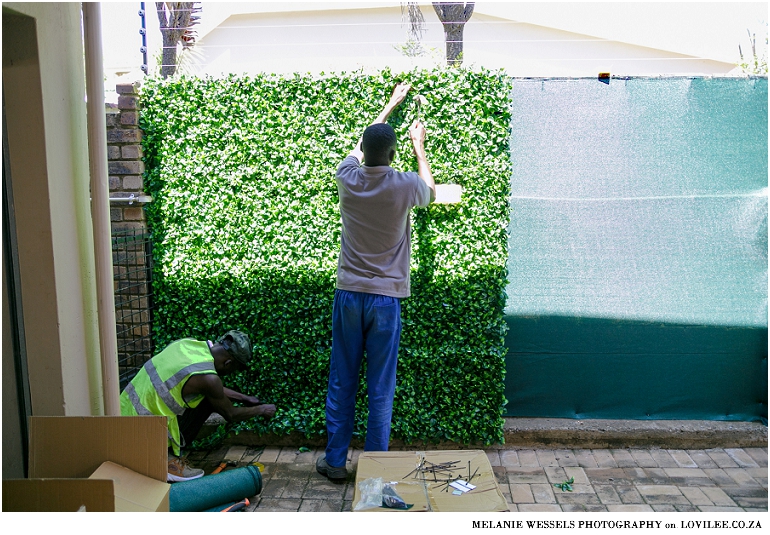 Green wall installation by Distinctive Spaces