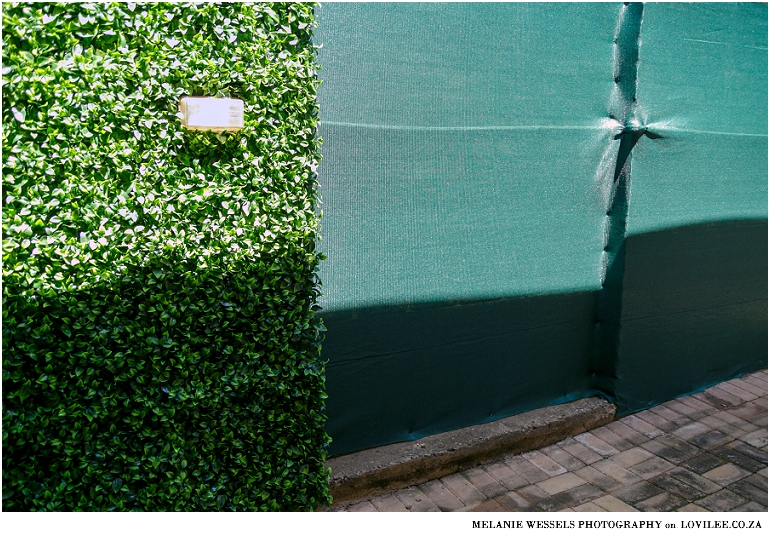 Green wall installation by Distinctive Spaces