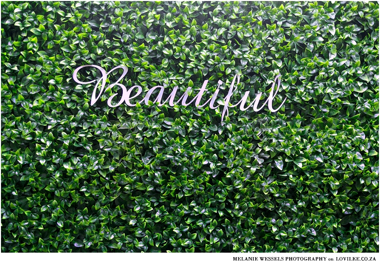 Green wall installation by Distinctive Spaces