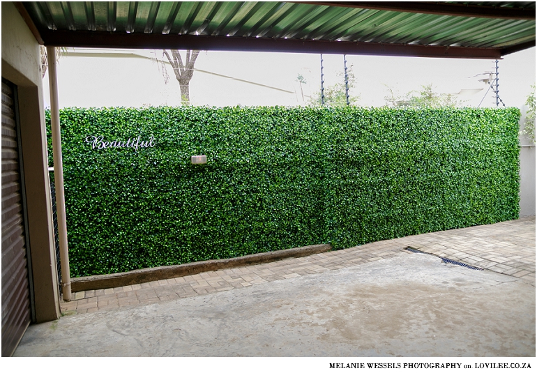 Green wall installation by Distinctive Spaces