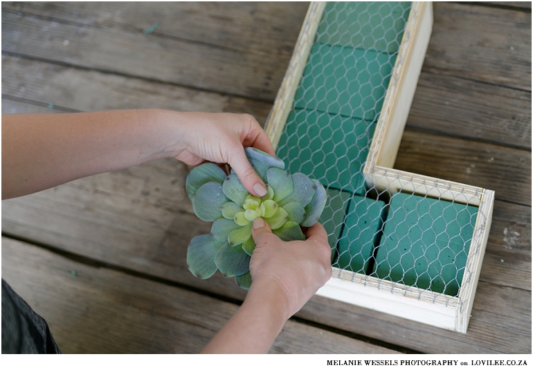 Arranging artificial succulents in a monogram planter