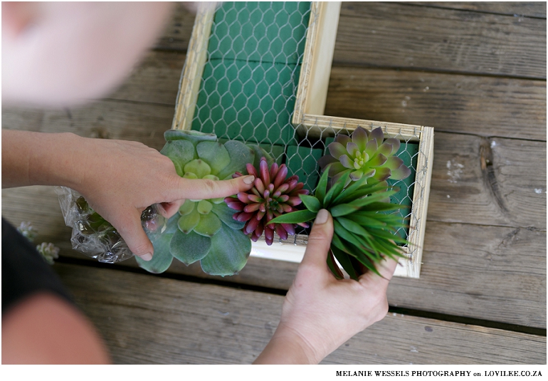 Arranging artificial succulents in a monogram planter