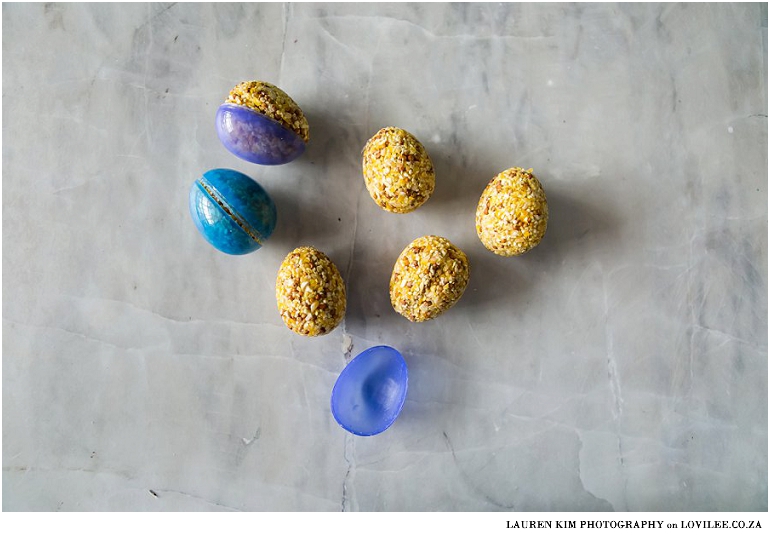 DIY bird seed balls recipe by Lauren Kim