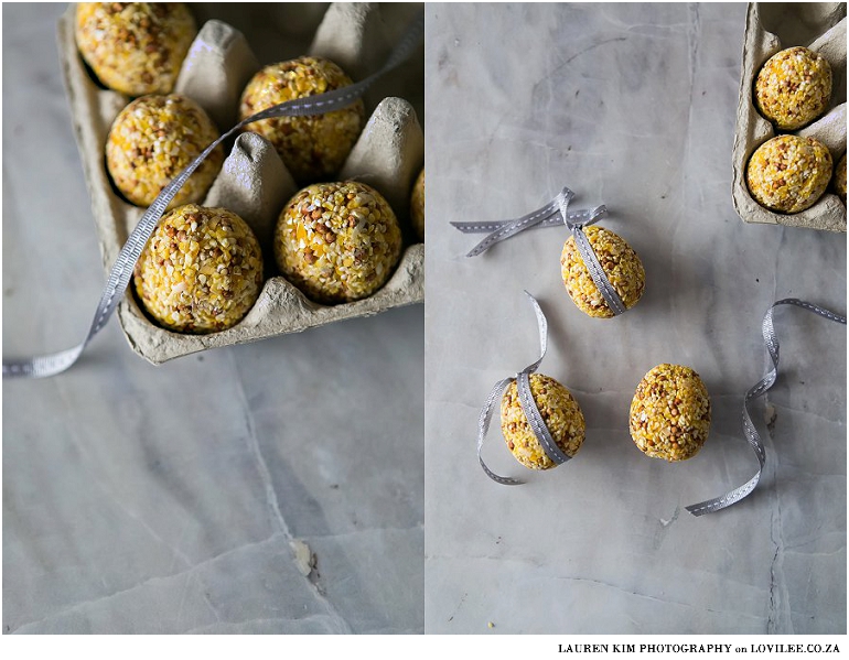 DIY bird seed balls recipe by Lauren Kim