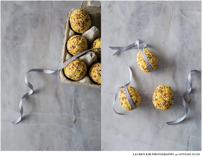 DIY bird seed balls recipe by Lauren Kim