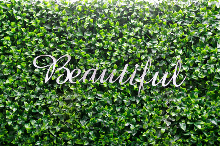 Artificial green wall installation by Distinctive Designs