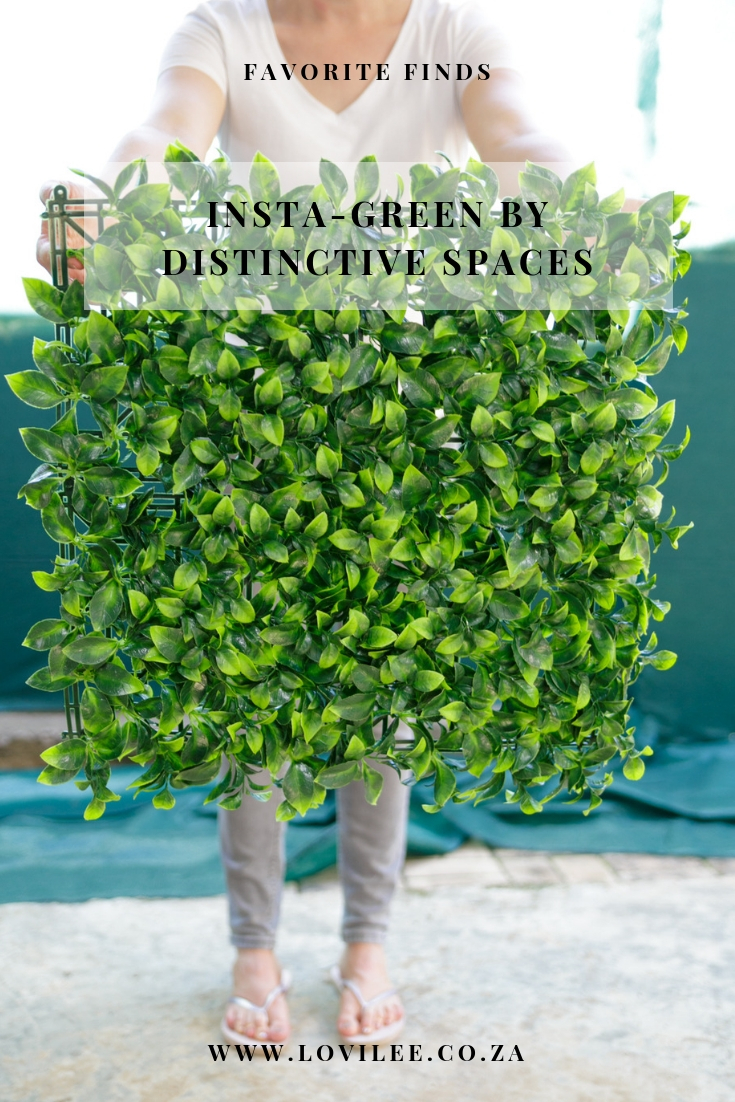 Green wall installation by Distinctive Spaces