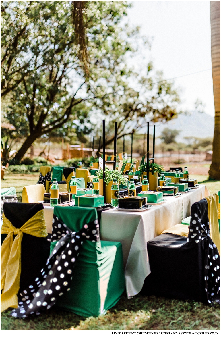 Springbok rugby party inspiration