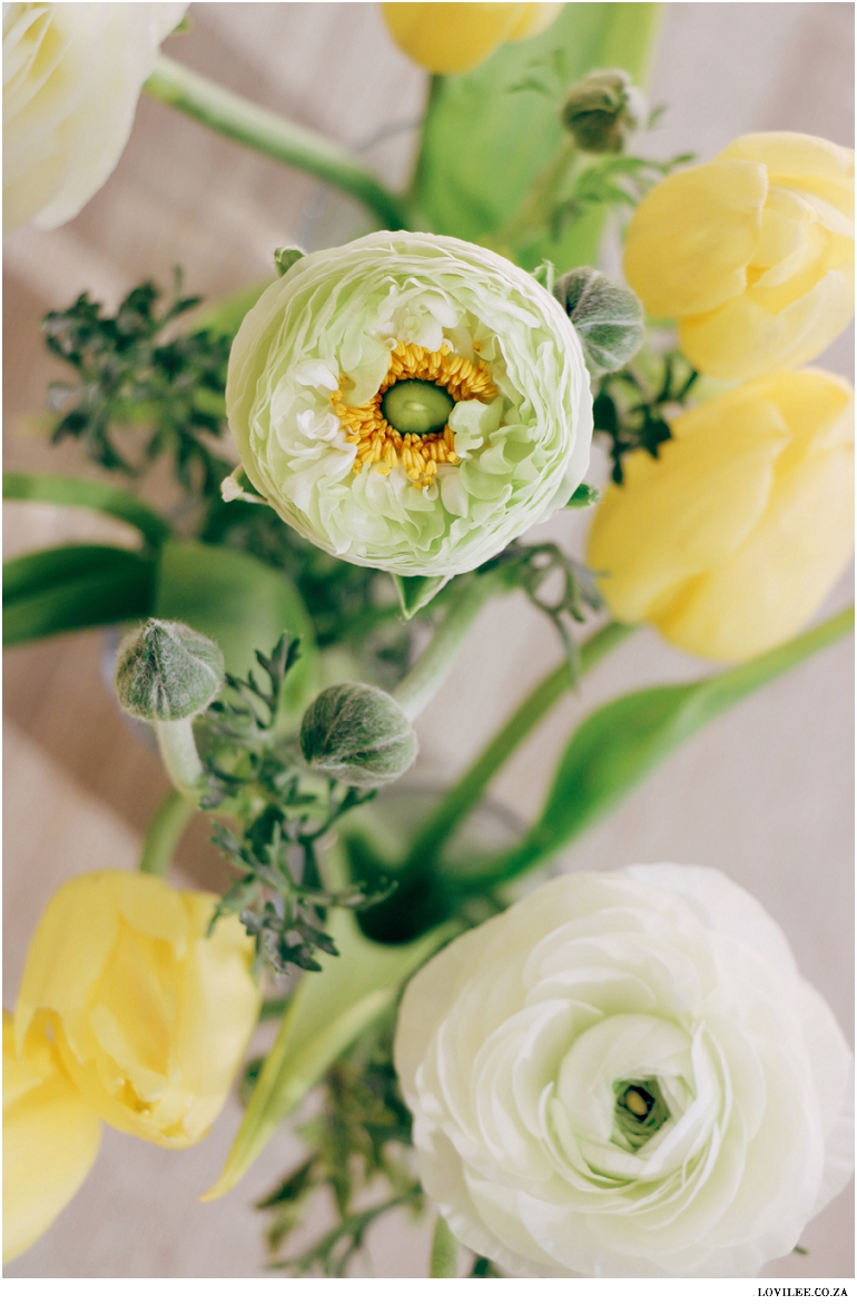 Yellow and white flowers