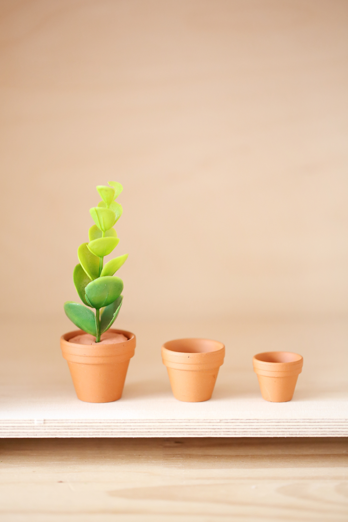 The Tiny Dollhouse - Dolls house planters 